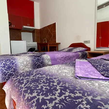 Apartment Zevs
