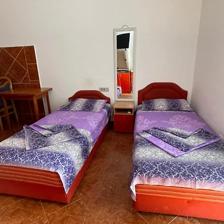 Zevs Daire Budva